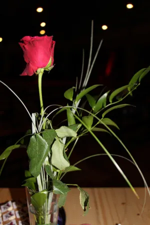 Eindrücke vom Gottesdienst am 14.02.2020