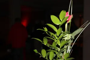 Eindrücke vom Gottesdienst am 14.02.2020
