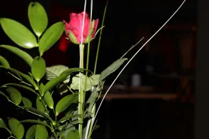 Eindrücke vom Gottesdienst am 14.02.2020